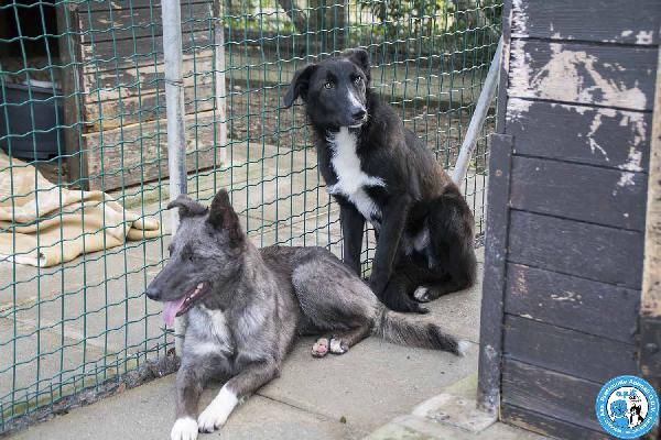 Nina, Nana e Noah: il club degli invisibili Foto 8